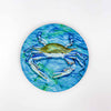 Coastal Critters Out of the Blue | Coaster