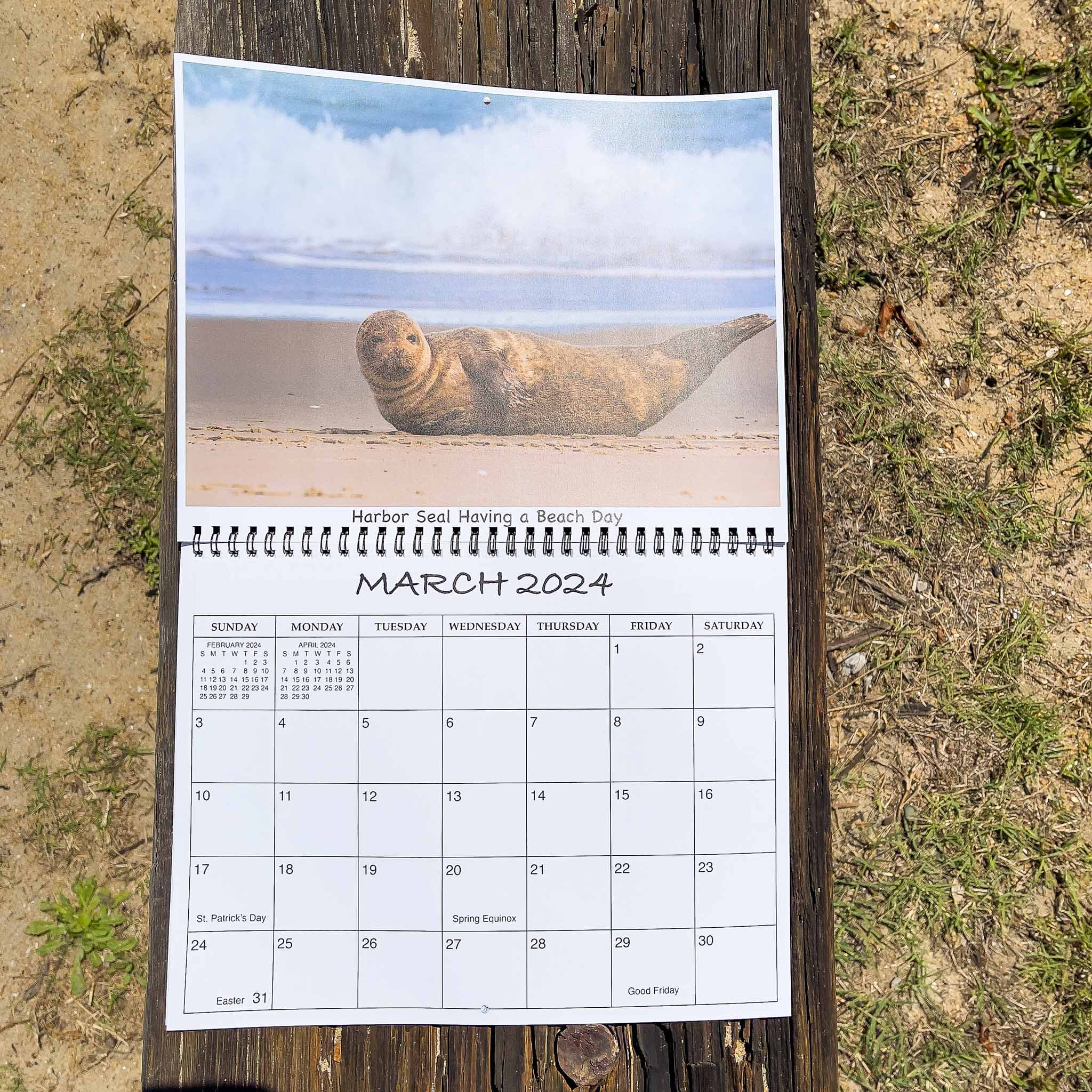 2022 DR. DAVE'S OUTER BANKS CALENDAR Outer Banks Gifts OUTER BANKS