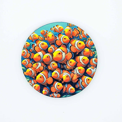 Clownfish | Coaster