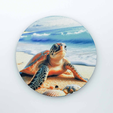 Turtle Beach | Coaster