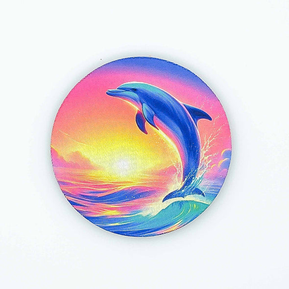 Leaping Dolphin | Coaster