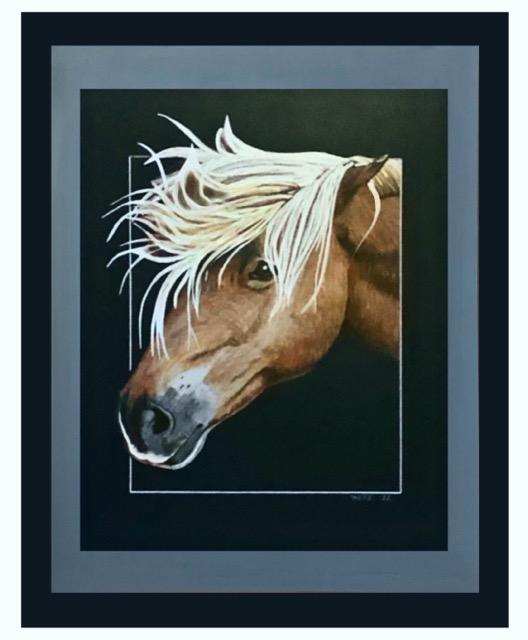 Outer Banks Pony | Portraits by 'nette