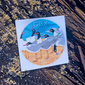 Coastal Critters Laughing Gulls | Sticker
